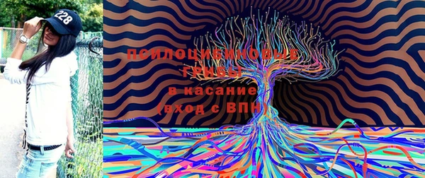 каннабис Беломорск