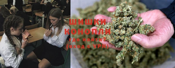 спайс Богданович